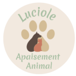 Luciole Apaisement Animal
