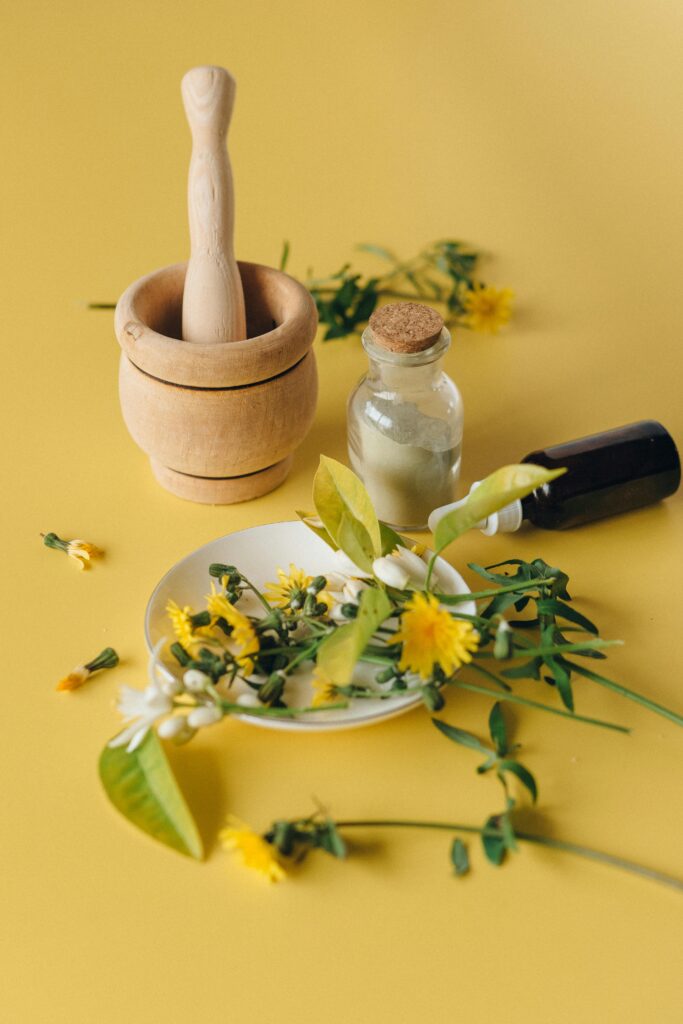 Plantes et préparations naturelles utilisées en naturopathie animale